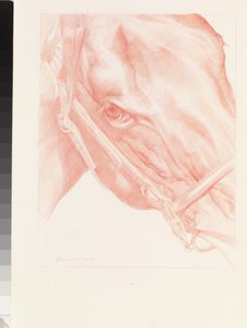 Portrait Head, 2012