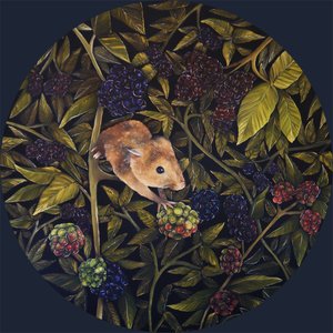 Harvest Mouse, 2021