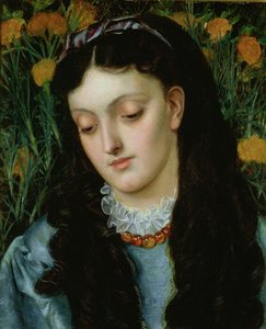 The Beautiful Wallflower