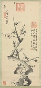 Plum Blossoms