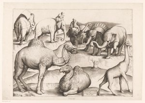 Eight Animals by Enea Vico (attributed to)