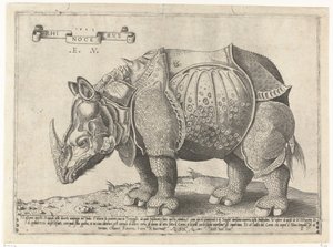 Rhinocerus
