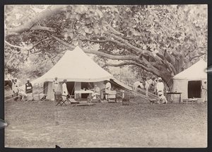 J.J. Cotton in topi and tent (b/w photo)