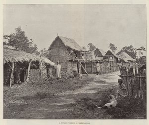 A Forest Village in Madagascar