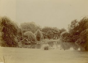 Brockwell Park, London by English Photographer