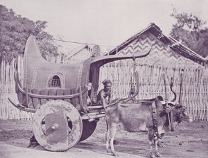 Burmese Carriage and Pair by English Photographer