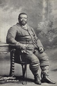 Cetshwayo kaMpande, King of the Zulu nation by English Photographer