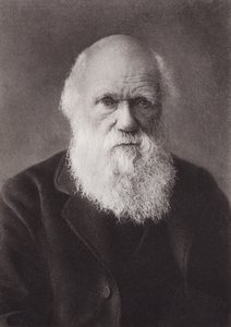 Charles Darwin, portrait, c 1880