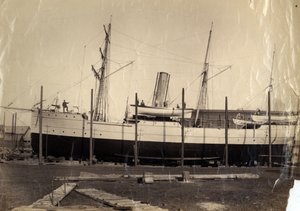 Chinese Revenue Cruiser 