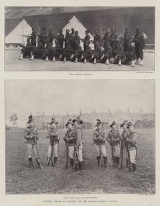 Colonial Troops in England for the Queen