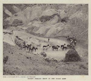 Desert Freight Train at the Borax Camp by English Photographer