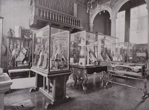Donaldson Museum, Royal College of Music by English Photographer