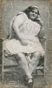 Edwardian Postcard by English Photographer