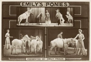 Emily Paulo and her performing trained ponies by English Photographer
