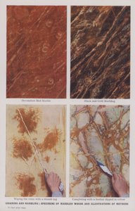 Graining and Marbling, Specimens of Marbled Woods and Illustrations of Methods