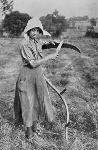 Harvesting - Member of the Leicester Women