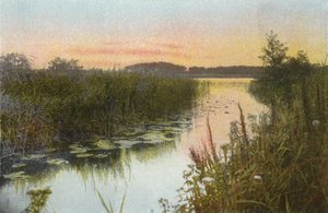 Hoveton Broad