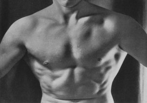 Illustration for The Male Body