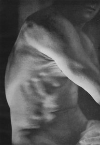 Illustration for The Male Body by English Photographer