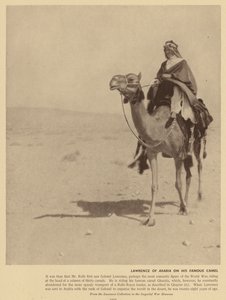 Lawrence of Arabia on His Famous Camel by English Photographer