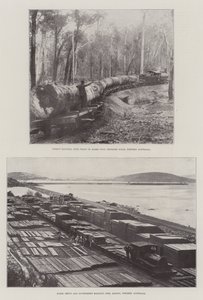 Logging in Australia