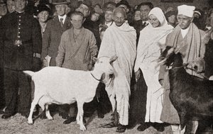 Mahatma Gandhi arrives in London, England in 1931 with his disciple, Madeleine Slade, and his two goats, from The Story of Twenty Five Years, published 1935 by English Photographer