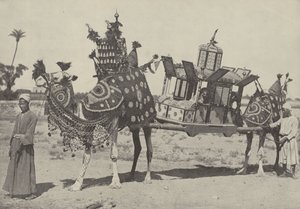 Marriage ceremony in Cairo by English Photographer