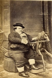 Master Richard Beanham by His Rocking Horse, 1870s