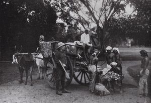 Mr G P Owen and a Singapore Tiger