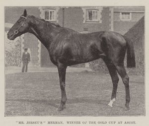 Mr Jerseys Merman, Winner of the Gold Cup at Ascot by English Photographer