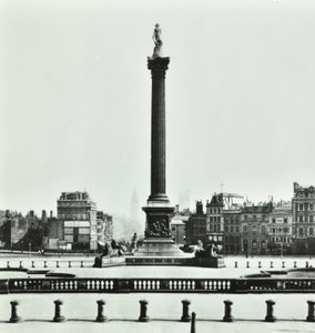 Nelson