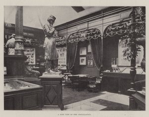 Nitrate of Soda at the Paris Exposition by English Photographer