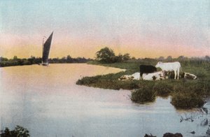 On the Bure by English Photographer