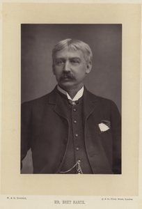 Portrait of Bret Harte