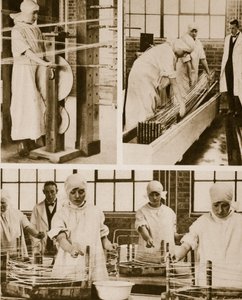 Preparing Cat-Gut at the London Hospitals own factory by English Photographer