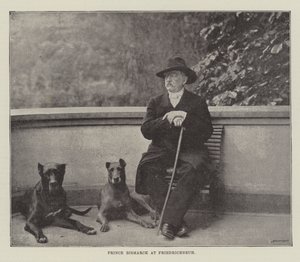 Prince Bismarck at Friedrichsruh by English Photographer