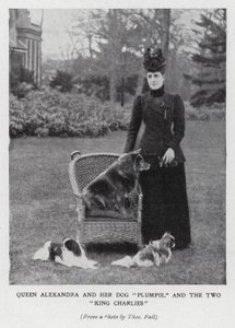 Queen Alexandra with her dog, Plumpie, and her two King Charles spaniels by English Photographer