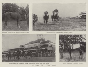Scenes at Ascot, 1901 by English Photographer
