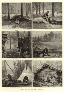 Scenes of Life in the Backwoods