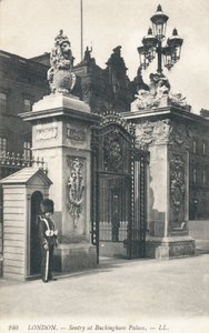 Sentry at Buckingham Palace by English Photographer