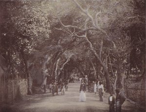 Skinners Road, Colombo