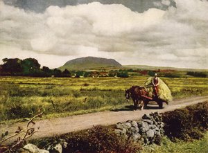 Slemish, County Antrim