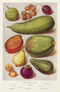 Some rarer fruits