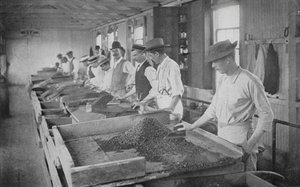 South Africa: Searching Tables, De Beers Diamond Mines, Kimberley by English Photographer