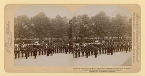 Stereographic print of Queen Victoria