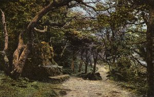 Stone Seat, the Landslip