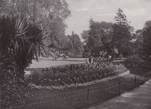 Sub-Tropical Gardens, Battersea Park by English Photographer