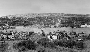 Suvla Bay, Gallipoli at Chocolate Hill, c.1915 by English Photographer