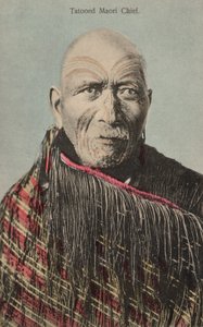 Tattooed Maori Chief