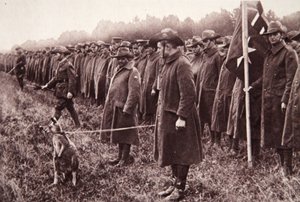 The Anzac review on Salisbury Plain: an Australian mascot